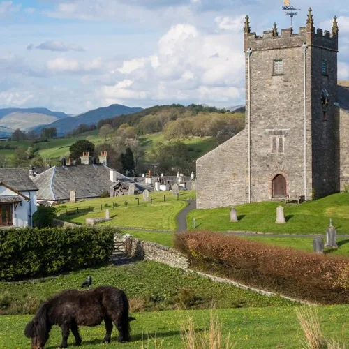 A castle with grass and a pony in front of it