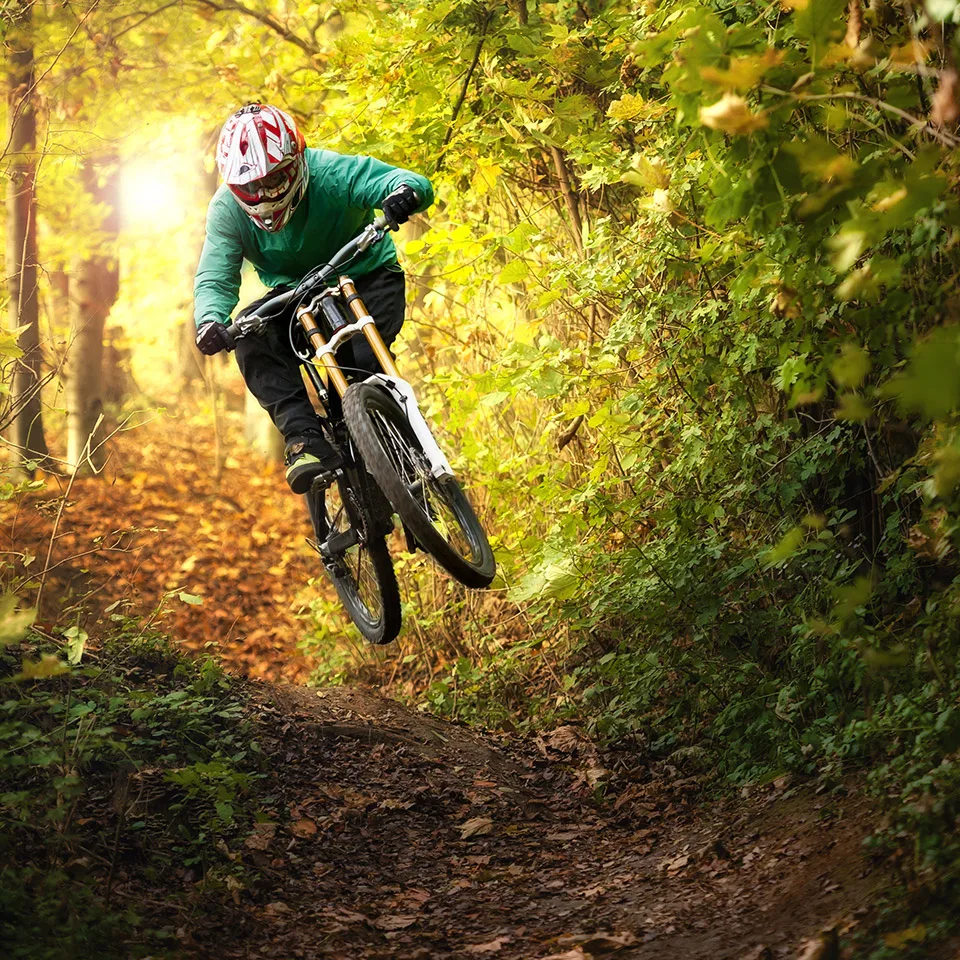 Mountain biker jumping on a woodland trail in autumn